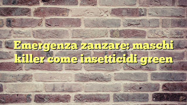 Emergenza zanzare: maschi killer come insetticidi green